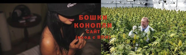 не бодяженный Бородино