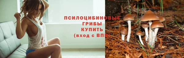 не бодяженный Бородино