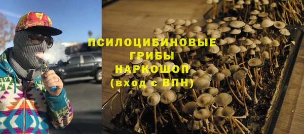 не бодяженный Бородино