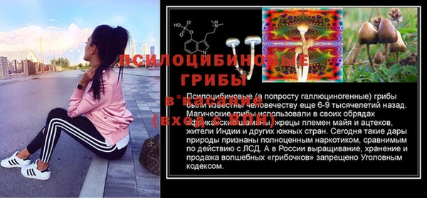 не бодяженный Бородино