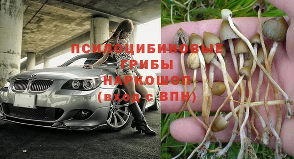 mdpv Бугульма