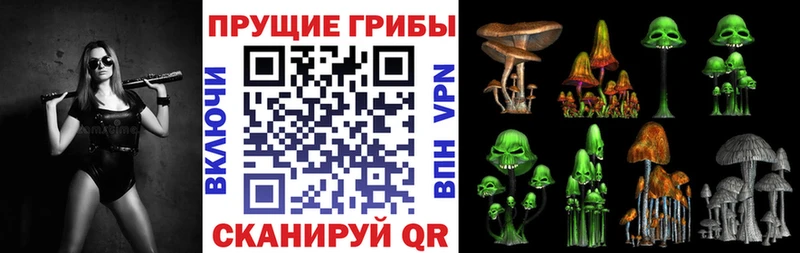 купить наркотик  KRAKEN сайт  Псилоцибиновые грибы Psilocybe  Городец 